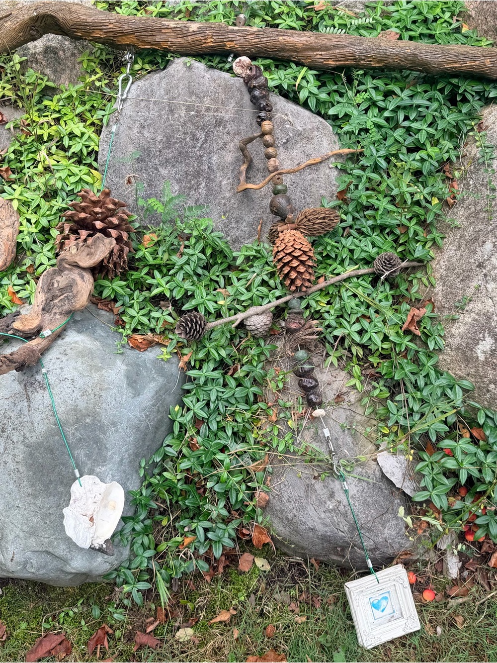 🌲NATURE INSPIRED DECOR - Picture 3 of 13